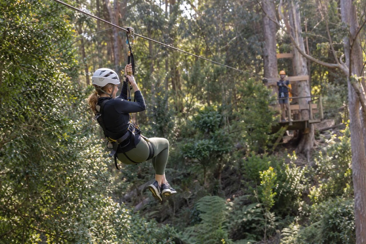 A guest ziplining above a forested mountain valley in Constantia