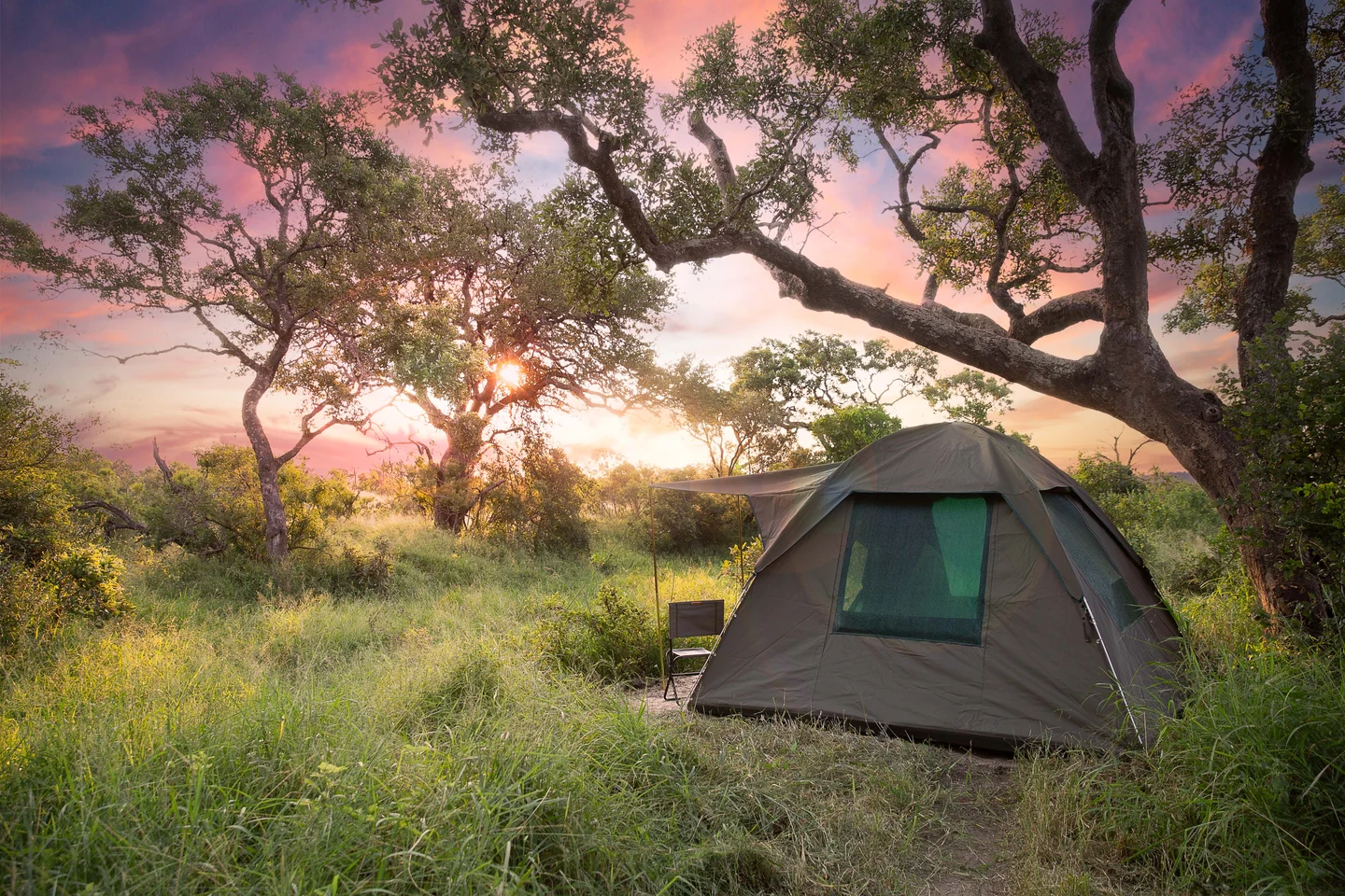 A simple canvas tent beneath the trees at a Timbavati bush camp
